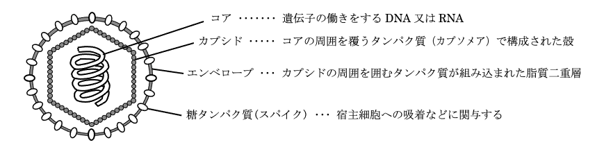 解説画像